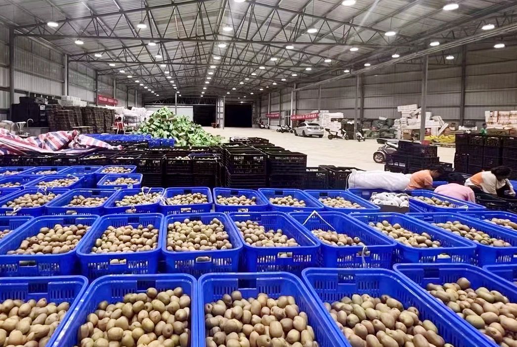 微信圖片_20240919090947.jpg 微信圖片_20240919090947.jpg